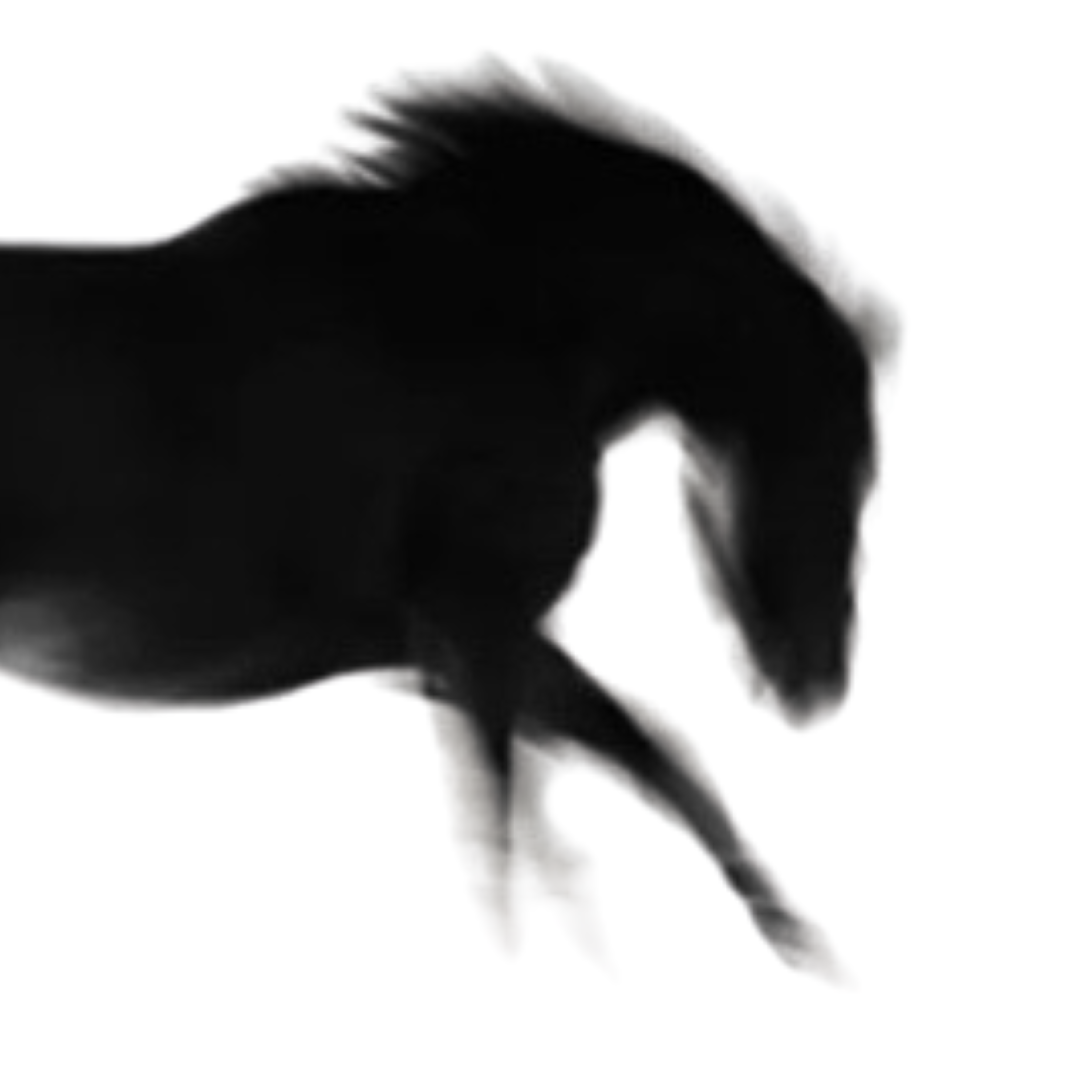 Marengo Ventures logo